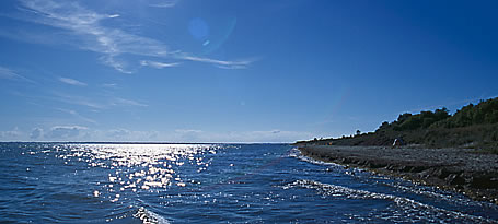 Ferienhaus Insel Poel - Salzwiesen auf der Ostseeinsel Poel